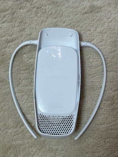 SONYのREON POCKET3