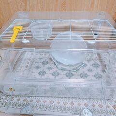 ‪🐹ルーミィ60＋飼育キット🔰オマケ大量