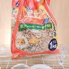 ‪🐹ルーミィ60＋飼育キット🔰オマケ大量の画像