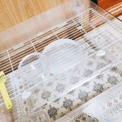 ‪🐹ルーミィ60＋飼育キット🔰オマケ大量の画像
