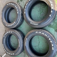 大幅値下】エコスト至高の栄養クリームecost