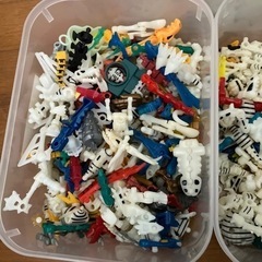 ほねほねザウルス　まとめての画像