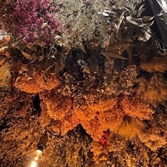 ドライフラワー　全部