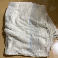 【ニトリ】タオルケット