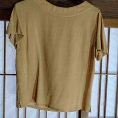 サマースーツの画像