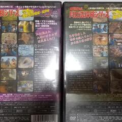 川口浩探険隊DVD4本の画像