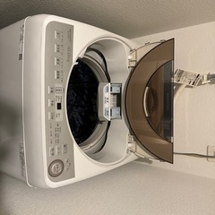 家電 洗濯機