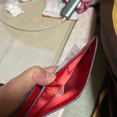 COACHリンゴ柄中古美品 箱、袋なしの画像