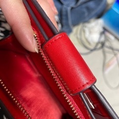COACHリンゴ柄中古美品 箱、袋なしの画像