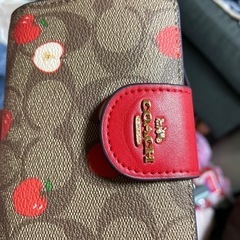 COACHリンゴ柄中古美品 箱、袋なしの画像
