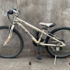 ルイガノ LGS-J22 22インチ 子供用MTB