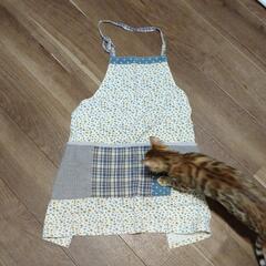 エプロンの画像