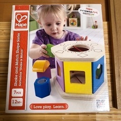 つみきセット　🎁付き