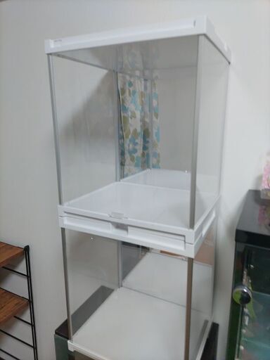 背面ミラーアクリルケース2個セット