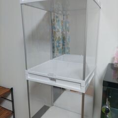 背面ミラーアクリルケース2個セット
