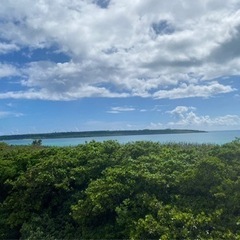 遠隔で波動調整いたします🌟ヒーリングウェーブで完全サポート！