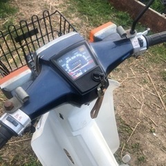 ホンダ　スーパーカブ50 カスタム　書類付実働ベース車の画像