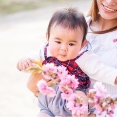 【1/28(日)】沖縄名護市🌸桜撮影会🌸 - 育児
