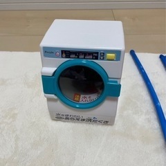 ぽぽちゃん　お洗濯ごっこの画像