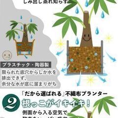 不織布プランター 7ガロン 4個 不織布ポット 12号 35x28 植木鉢 大型 軽い 軽量 深鉢 フェルト 鉢 家庭菜園 ベランダ菜園 ハーブ 野菜栽培 野菜の画像