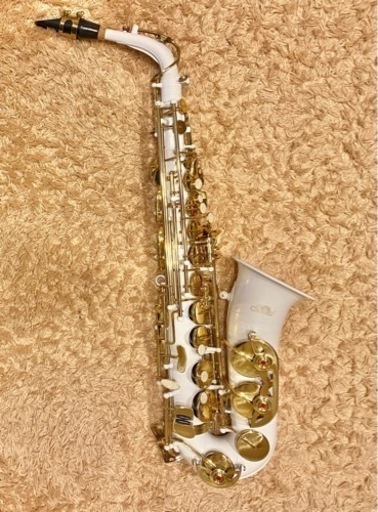 【TVで話題】白いアルトサックス＆e-Sax（サイレンサー）