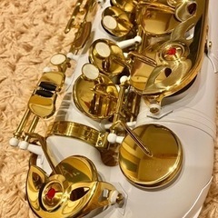 【TVで話題】白いアルトサックス＆e-Sax（サイレンサー）の画像