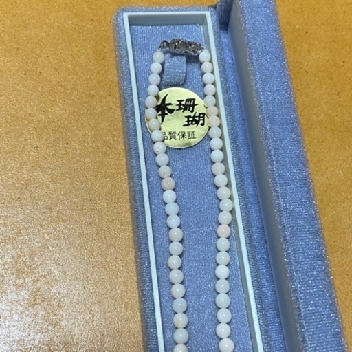 本珊瑚 ネックレス