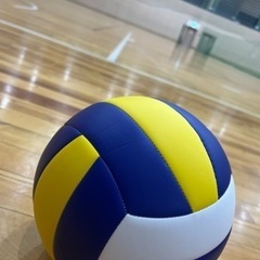 バレーボールやりたい方