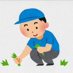 【休止中】お庭の整地・草刈りやります！
