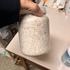 800ccカワラ菌糸ボトル