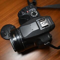 Panasonic DC-FZ85の画像