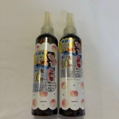 6月中値下げ！1300円★未使用★ダリヤ★モモリ2本★ウォーター...