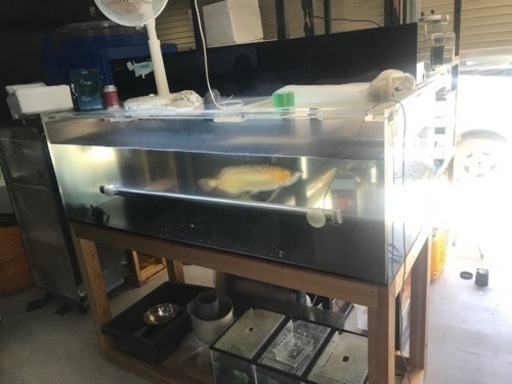 お譲り先決定‼️1800×750水槽　フルセット‼️ 大型水槽　熱帯魚　水槽用品　水槽機材