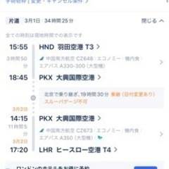 61000円の3月1日イギリス行き飛行機 