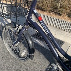 フレッカーズ自転車の画像