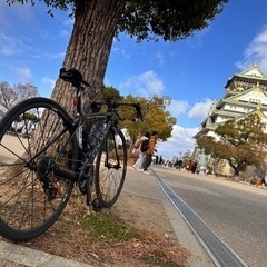 ロードバイク乗り