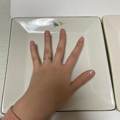 【2月まで】お皿2枚セットの画像