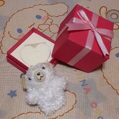 アクセサリーBOX 各800円の画像