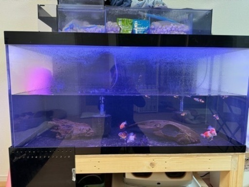 アクリル水槽　水槽台(自作)