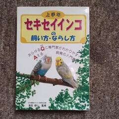 セキセイインコの飼い方