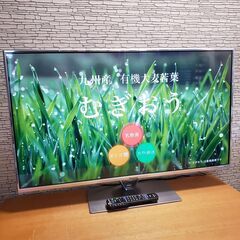 Panasonic 液晶テレビ TH-L42FT60 42V型