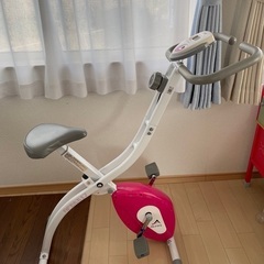 アルインコ　エアロバイク