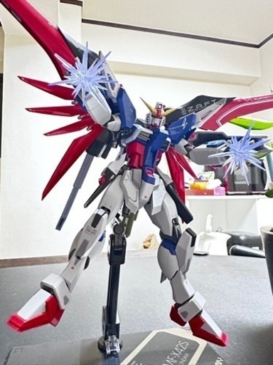 METALROBOT魂DESTINYGUNDAM