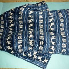 冬用伴天の画像