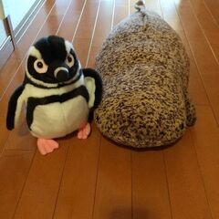 京都水族館 オオサンショウとペンギンの画像