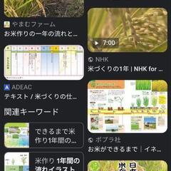 メンバー募集中。お米を作りませんか。趣味のミニ田んぼ。