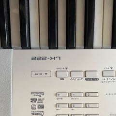 カシオ電子キーボードの画像