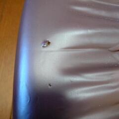 トランポリンの画像