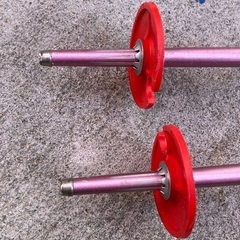 子供用【スキーストック】の画像