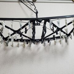【引っ越しの為３月まで】洗濯ハンガー　54ピンチ　洗濯バサミ　物干し